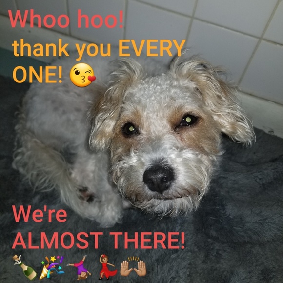 So close to 30k followers 🙌🏽😊! Come get blues - Picture 2 of 2